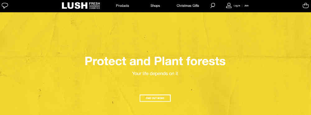Lush Simple Design - Midas Creative
